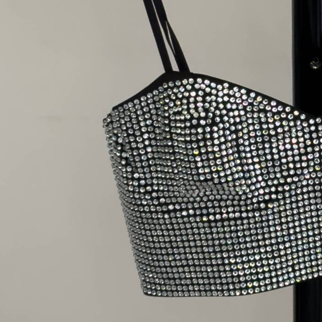 Zara Silver Sequin/Rhinestone Bralette Top (Preloved)