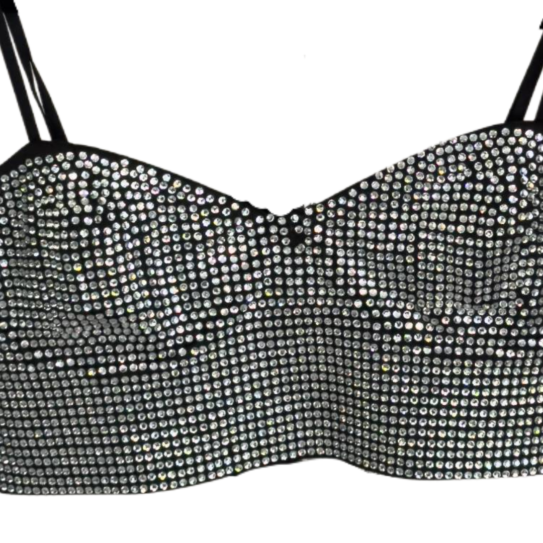 Zara Silver Sequin/Rhinestone Bralette Top (Preloved)