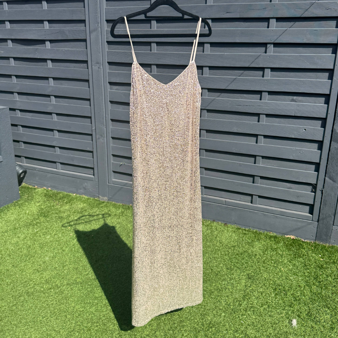 M&S Sparkly Sequin Maxi Dress (Preloved)